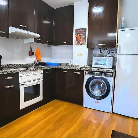 21a06 En Apartamento Felechosa